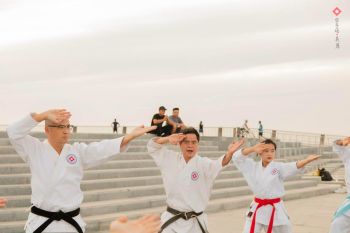 Có một chính trị gia - Một karate nhiệt huyết