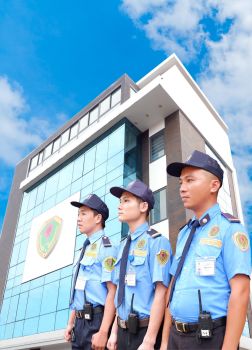 Quá trình hình thành và phát triển